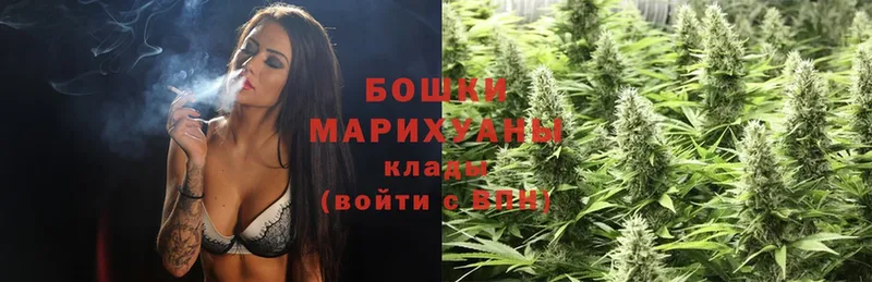 как найти наркотики  гидра ССЫЛКА  Конопля SATIVA & INDICA  Аткарск 